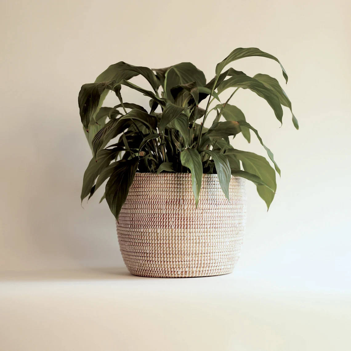 ธรรมชาติ