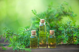 Saf çay ağacı saç cilt ve çivi artı aromaterapi ve doğal temizlik çözümü için uçucu yağ-100% saf çay ağacı yağı - Product Image 6