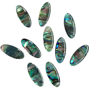 Toptan Oval doğal Abalone Cabochon <span class=keywords><strong>Paua</strong></span> kabuk kemik & mercan boncuk düz geri Abalone kabuk takı