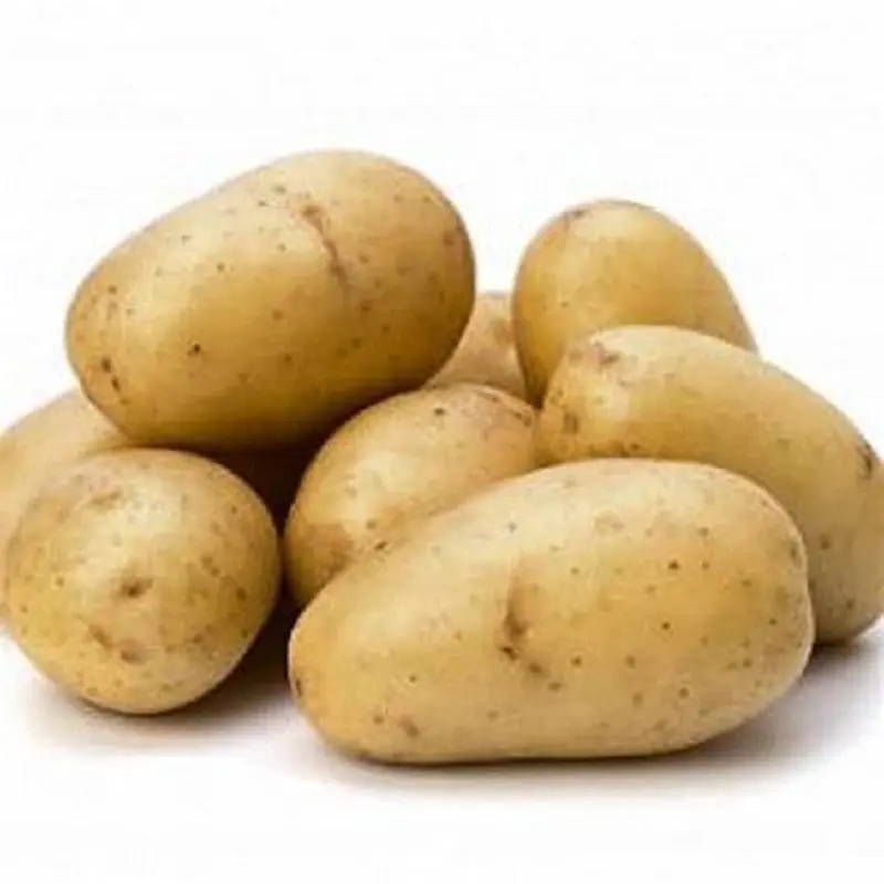 Fresh Golden Yellow Potatoes ,Organic Fresh Potatoes High Quality White potato