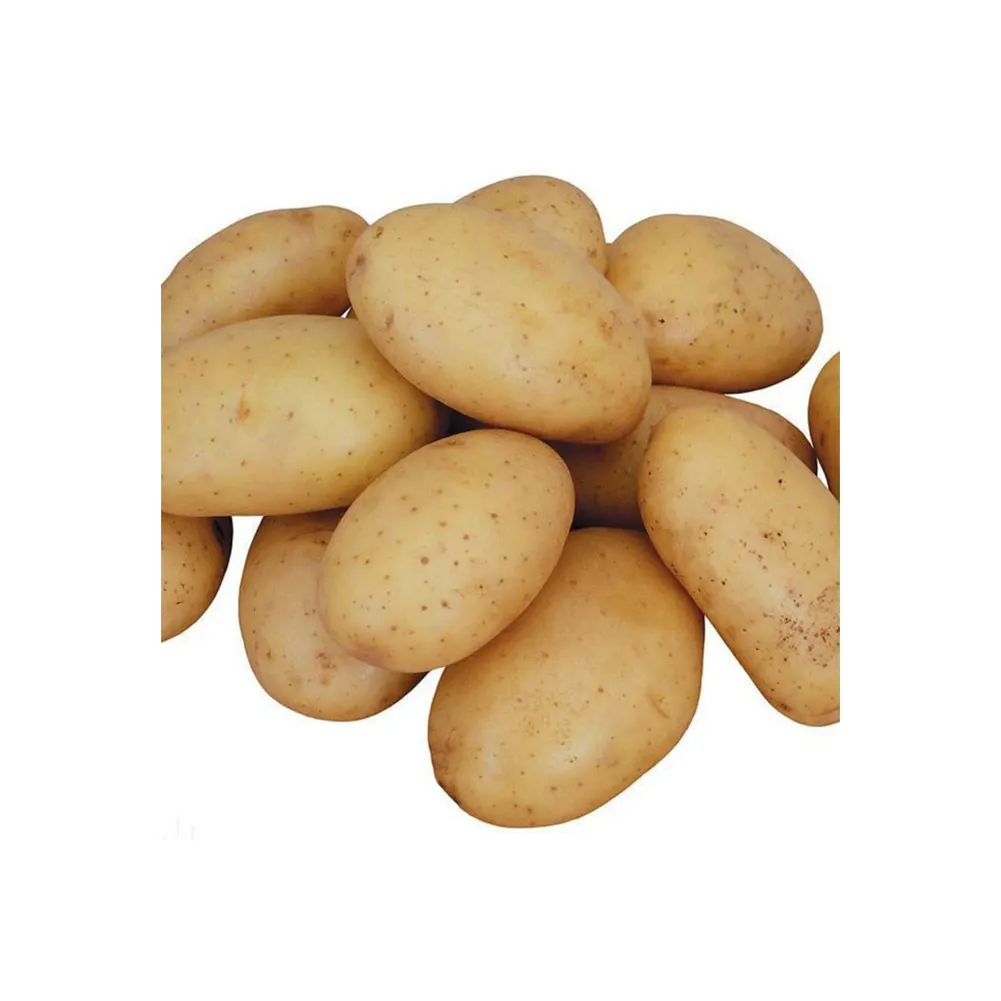Buen precio de exportación al por mayor de patatas frescas y vegetales