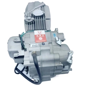 Zongshen190CCエンジン<span class=keywords><strong>ZS190CC</strong></span>エンジン電動スタート完全なエンジンキットを備えたアニマ190のように - Product Image 4