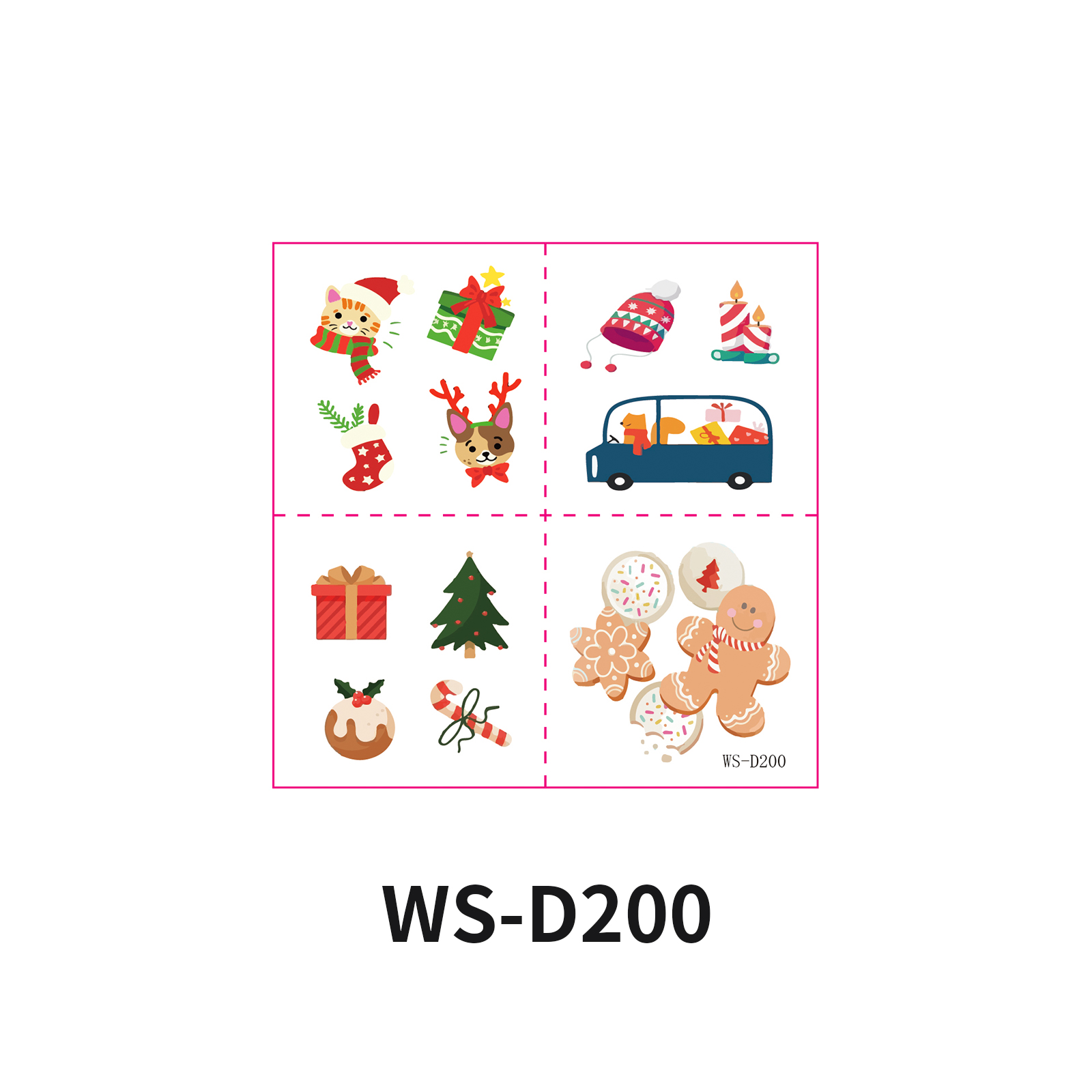 WS-D200