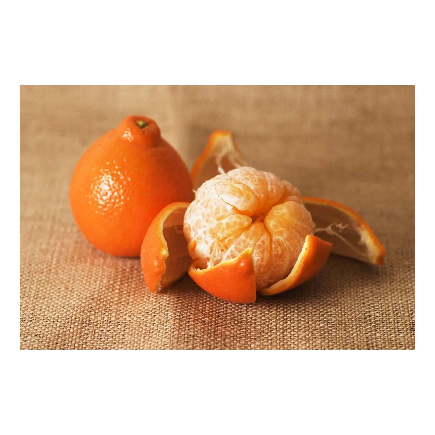 Agrumi freschi-Valencia/Navel Orange, Lime/limone, mandarino, prodotto di mandarino in vendita