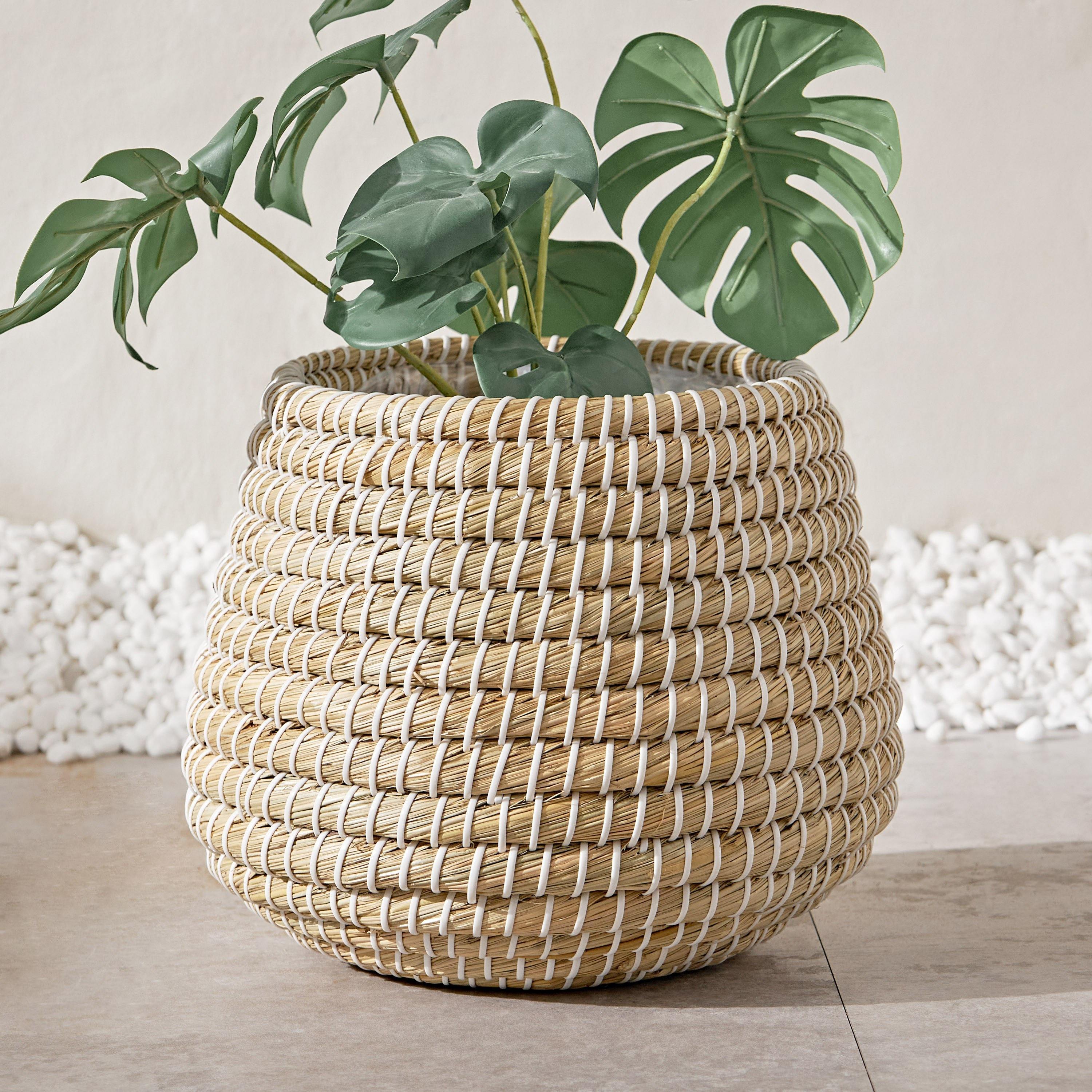 ธรรมชาติ