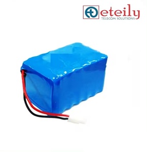 印度制造的ETEILY 12.8V 36Ah磷酸铁锂电池组，用于太阳能路灯产品类型通信天线 - Product Image 4
