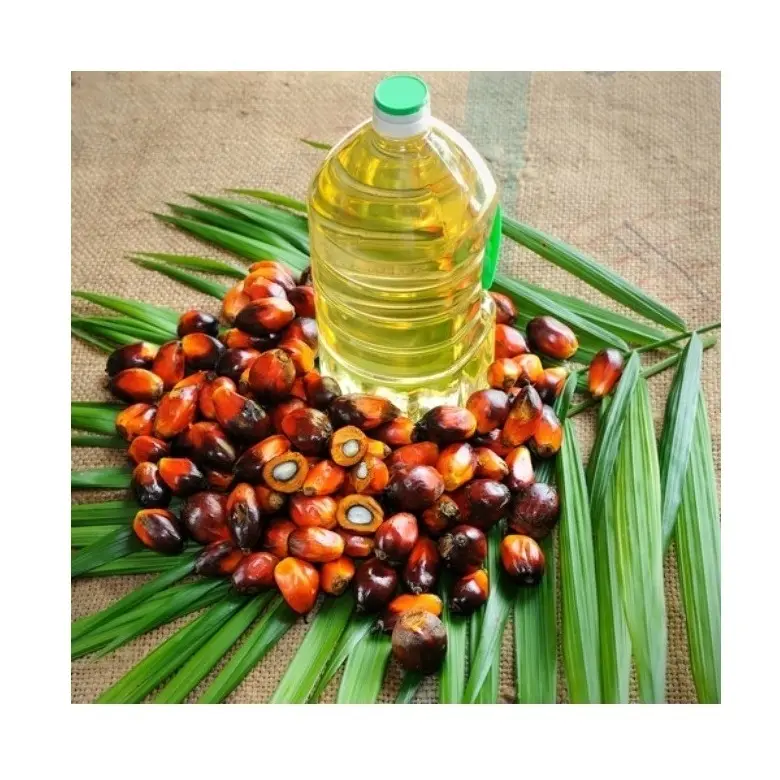 Saefood Bulk RBD Palm Olein 100% Aceite de Palma Crudo Refinado para Cocinar Precio Barato Aceite Vegetal con Entrega Rápida