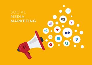 Shopify Webentwicklung und Design Suchmaschinen-Marketing-Dienstleistungen | B2B B2C E-Commerce-Website