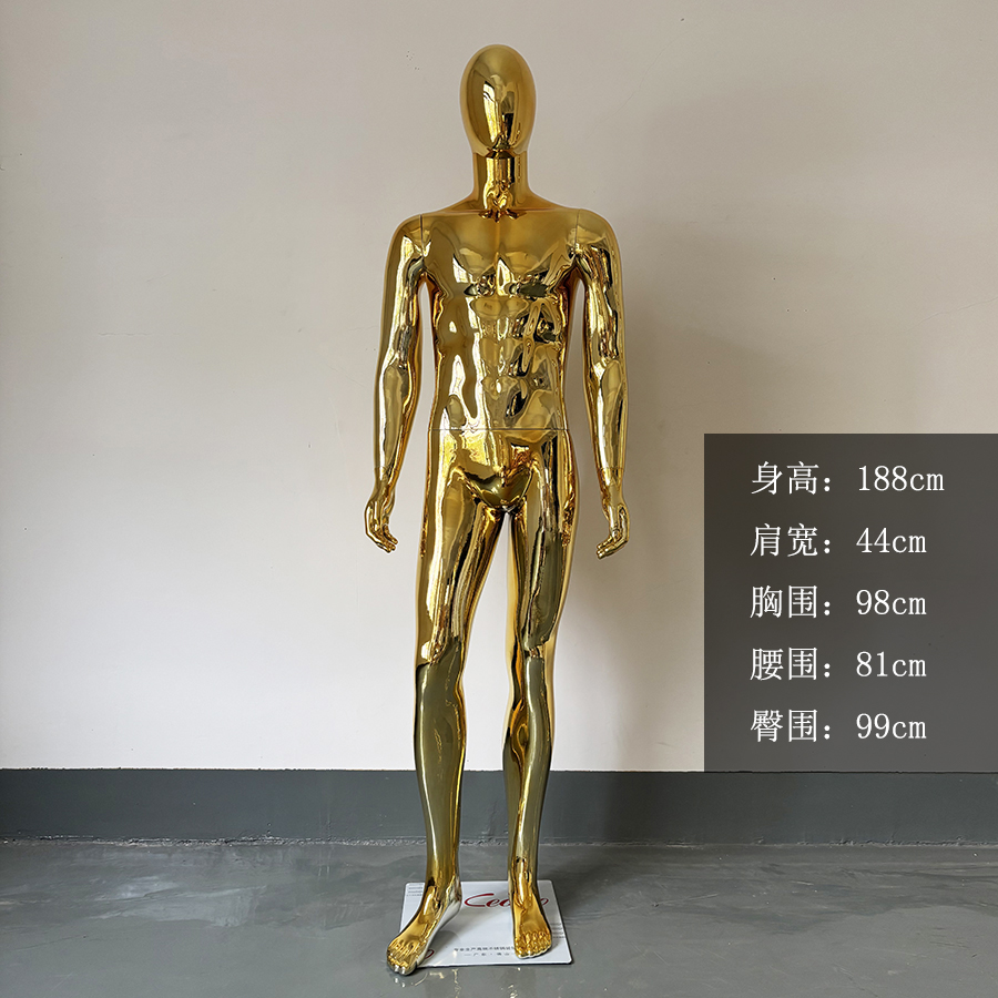 Or 02