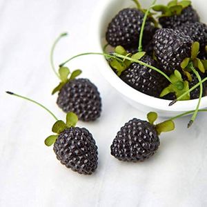 ブルーベリーフルーツ冷凍ミックスベリーストロベリーラズベリーブラックベリーブルーベリー