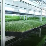 CATH odası kombine yükseklik sıcaklık nem Test odası sert çevre koşulu istikrarlı ortamı simüle - Product Image 3