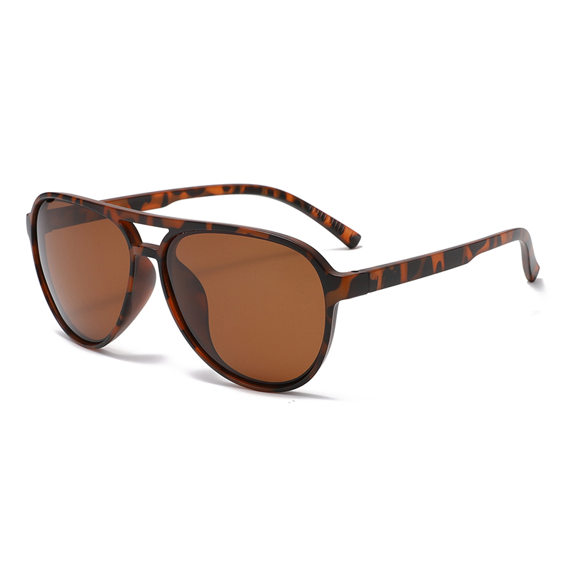 C2: Tortoise/ Brown