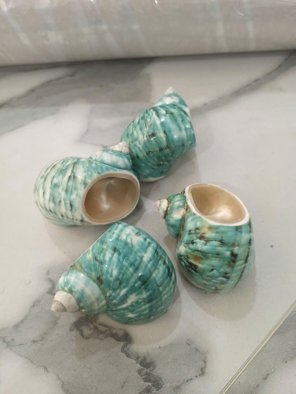 Green Conch