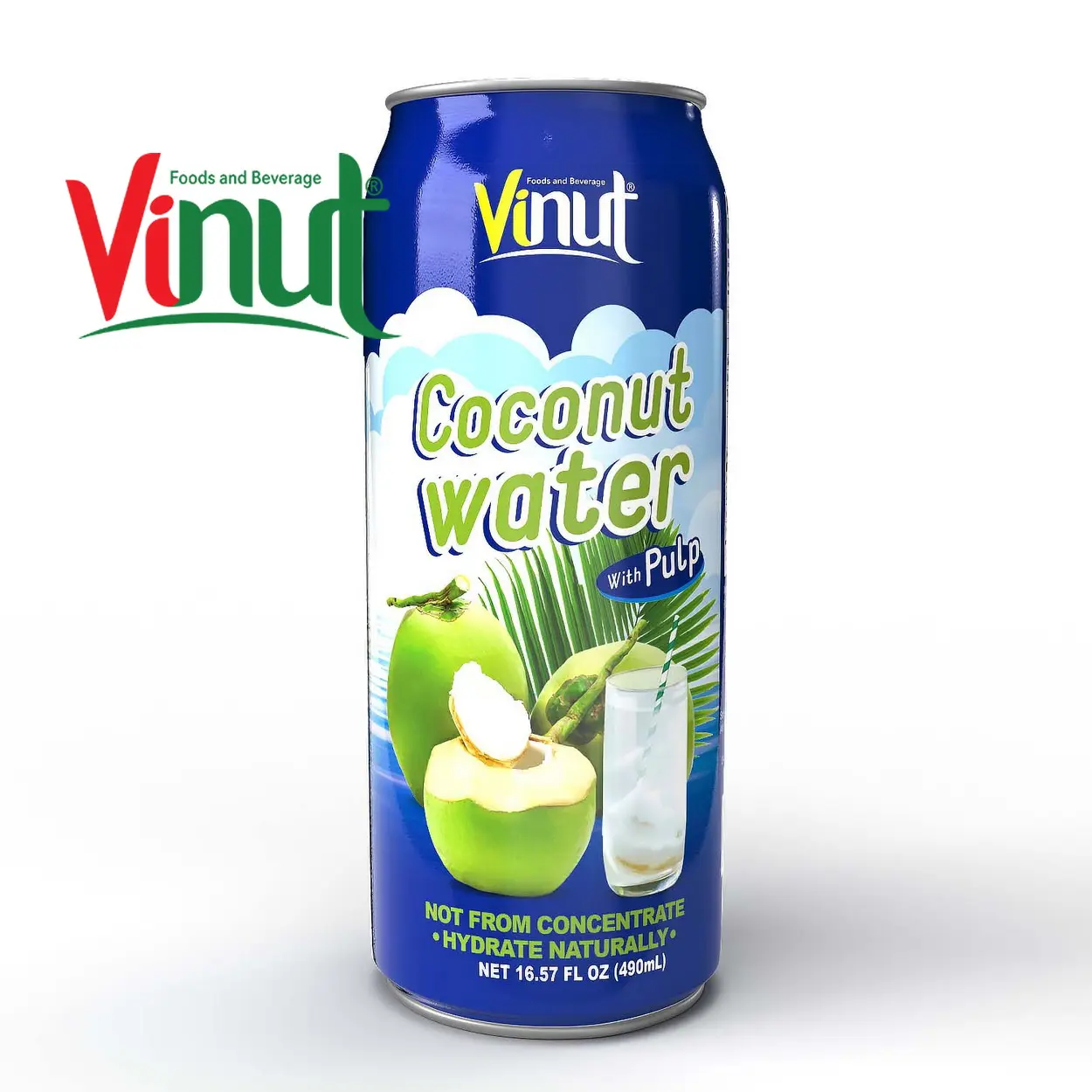 490ml Vinut नारियल पानी लुगदी नहीं जोड़ा चीनी निर्माता के साथ अनुकूलित पैकेजिंग निजी लेबल OEM