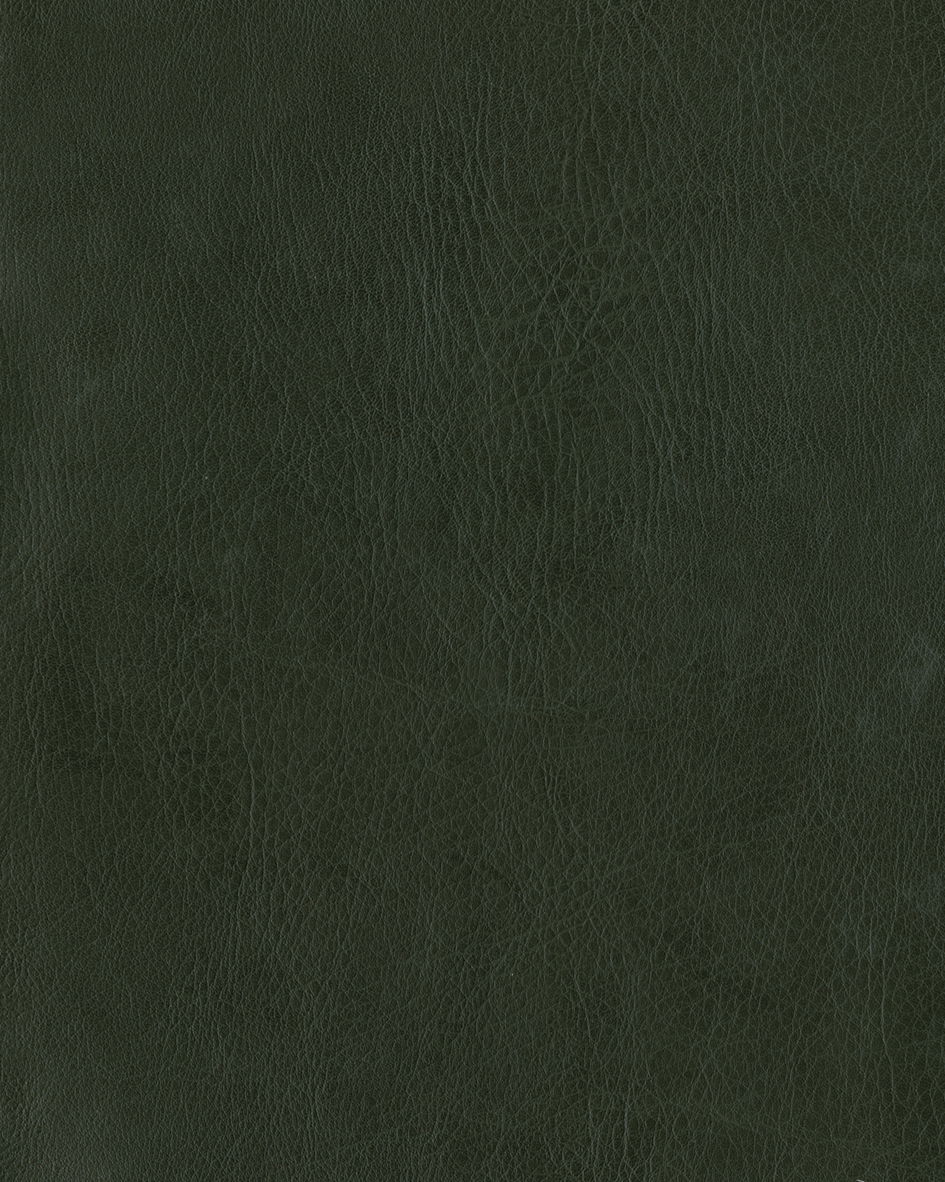 Verde oscuro