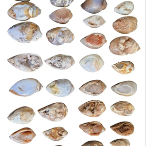 Doğal nadir fosil salyangoz Druzy akik | Doğal kabuk kuvars fantezi gevşek taş kabuk kuvars Opalized fosil örnekler - Product Image 3
