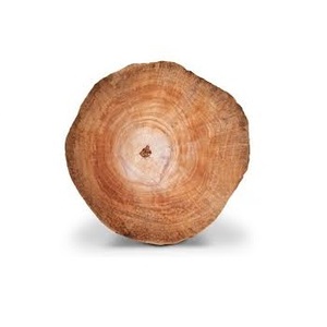 Toptan özel 100% ham çam ahşap kütükler tik kereste günlükleri tik ahşap günlükleri ahşap satılık - Product Image 3