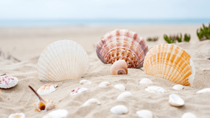 HANDCRAFTED SEASHELLS / SEA BREEZE VIBES / GIFT IDEAS / ORGANIC ELEMENTS - Product Image 5
