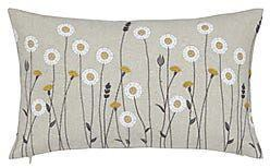 ตามที่แสดงในภาพ