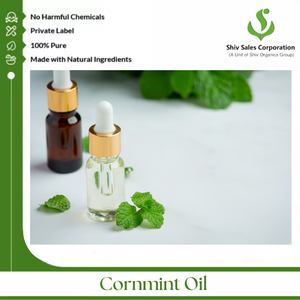 Kozmetik, sağlık ve gıda işleme birimleri için yüksek performanslı saf mısır nane yağı - Product Image 5