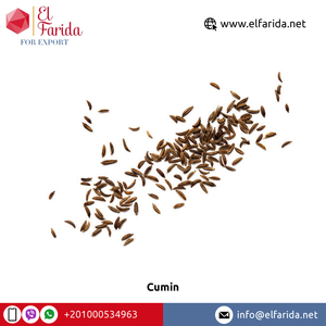 Wholesale Premium Egyptian Cumin From <strong>Egypt</strong> Longer Shelf-Life Single Spices Herb Raw Dried Process AD Drying Process - Product Image 2