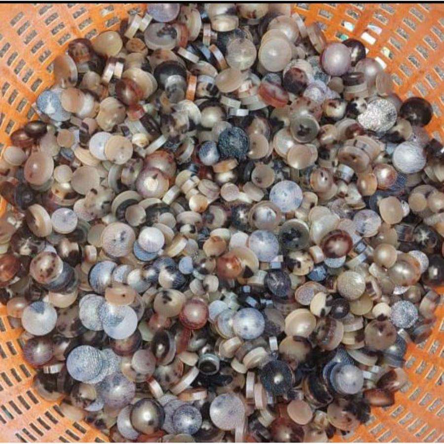 ธรรมชาติ