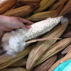 Yastık ve kuş yuvası için Kapok Fiber dolması hayvanlar özel toplu ambalaj vietnamca Capoc ham desen - Product Image 1