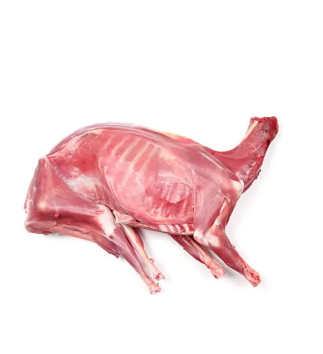 Thịt Bò Không Xương Đông Lạnh HALAL/Thịt Cừu/Thịt Dê