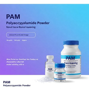 Versatile <strong>PAM</strong> Polyacrylamide Powder Chemical for Water Treatment and Beyond