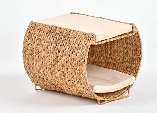 ธรรมชาติ