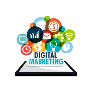 איך לשלוט seo המקומי עם Google שלי seo עסקים קטנים איך להתחרות עם מותגים גדולים כותרות smm מתקדם כותרות smm