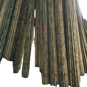 自然直强竹竿/竹子原料/竹竿