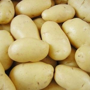 Fresh <strong>Potato</strong> - Product Image 1