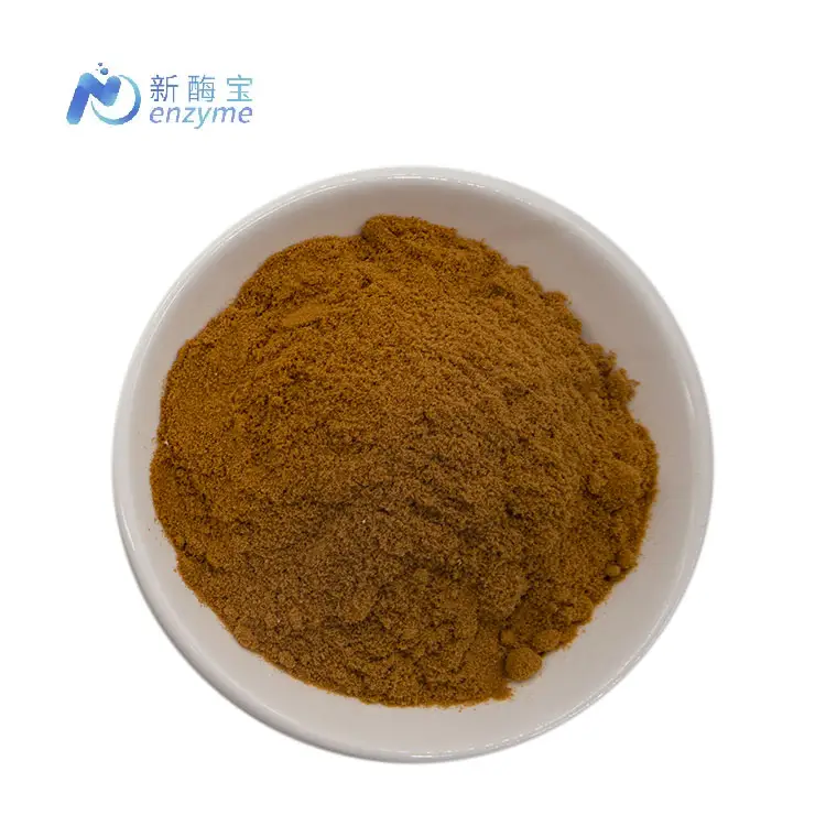 Novenzyme Wholesale Price Organic Lions Mane Mushroom Extract Powder