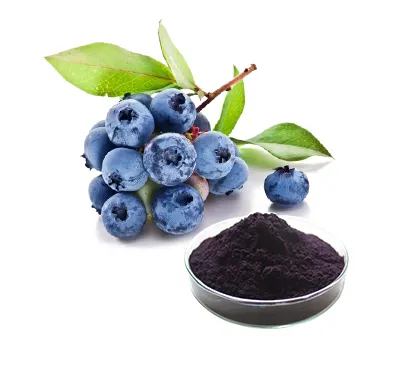 블루베리 과일 추출물 분말 야생 블루베리 분말 유기농 블루베리 분말 15% 25% 안토시아니딘
