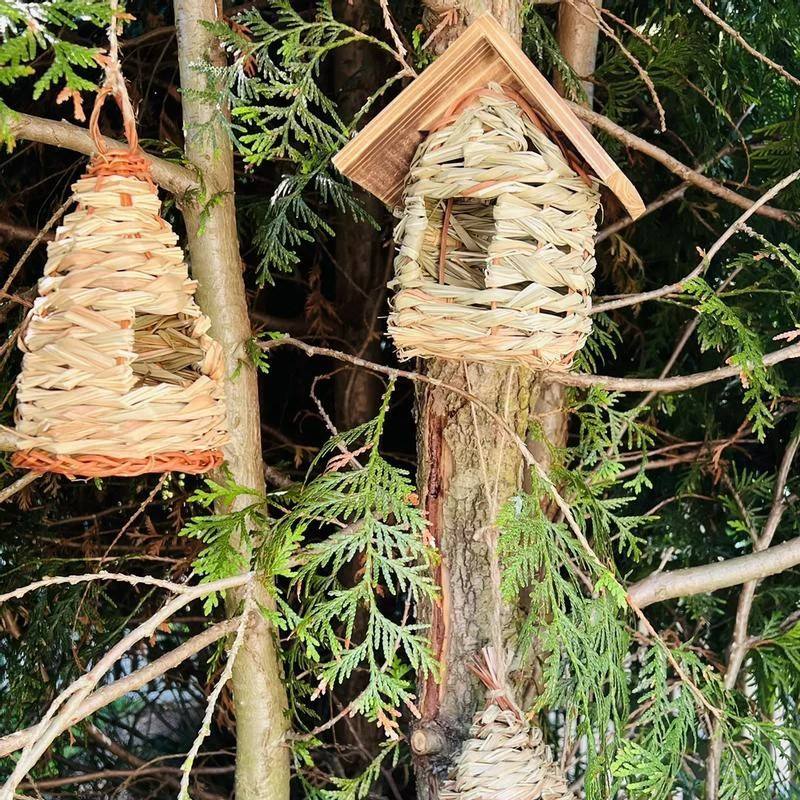 ธรรมชาติ