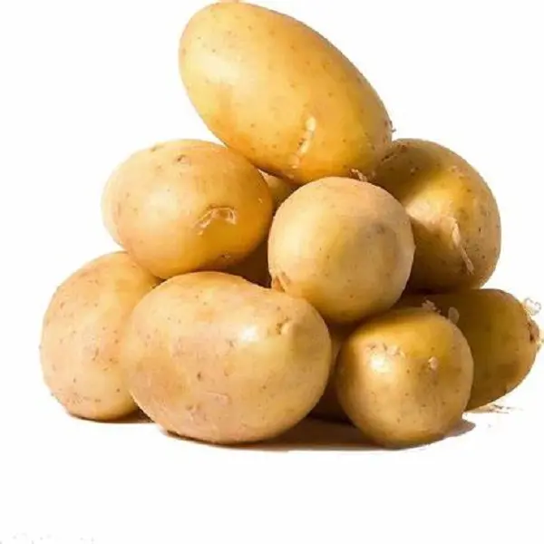 Pommes de terre fraîches nouvellement cultivées à vendre/pommes de terre fraîches à prix agricole pour l'exportation