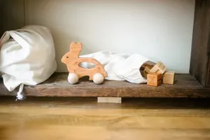 El hazırlanmış ahşap Bunny itme oyuncak-<span class=keywords><strong>waldorf</strong></span> ve Montessori hayvan oyuncak Bunny araba doğum günü hediyesi için Boys için 0-6 ay