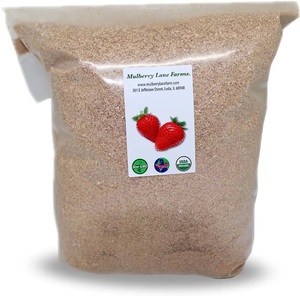High Quality <strong>Wheat</strong> Bran / <strong>Wheat</strong> Grain / Ukraine <strong>Wheat</strong> for Sale / Barley - Product Image 2