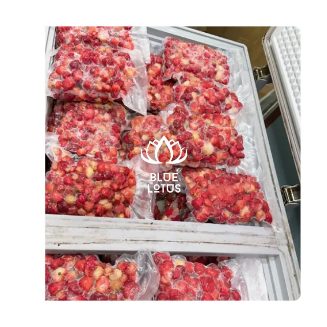 Best Selling Frozen Strawberry From Da Lat Vietnam Whole Half Cut Sliced Strawberry Standard Export Bulk Wholesale / Ms Amelia