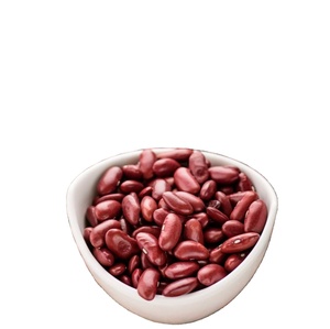 批发斑豆红斑芸豆出售