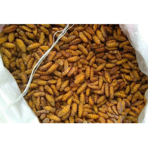 Maaltijd Voor Honden Huisdieren Veevoer Gedroogde Zijderupsen Voor Aquariumvissen Met Een Hoog Gehalte Aan Voedingsstoffen Voor Koi En Cichliden - Product Image 1