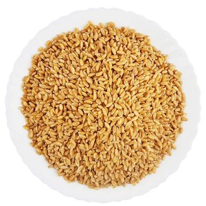 Top Quality <strong>WHEAT</strong> GRAINS /Durum <strong>Wheat</strong> in Bulk Supply