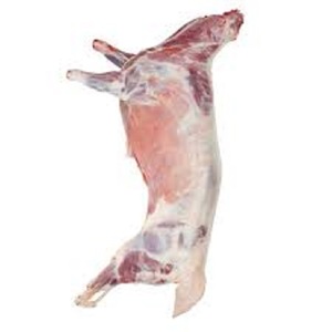 Pure Quality Best <strong>Price</strong> Frozen / Fresh Sheep <strong>Lamb</strong> Meat Leg, Goat Meat Available in Bulk <strong>Price</strong>.. - Product Image 1