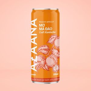Vietnamca üretim Kombucha şeftali lezzet konsantre karışık meyve suyu tatlı ve ekşi notlar doğal işlenmiş - Product Image 6