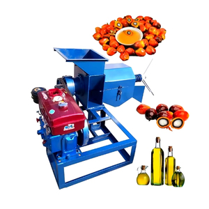0.5t/h 1t/h棕榈仁饼干，棕榈仁壳分离机，棕榈仁油提取机 - Product Image 4
