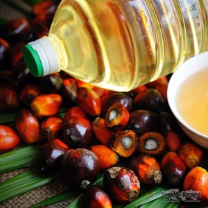Natural Crude Palm <strong>Oil</strong> in Bulk for Sale Wholesale High Quality <strong>Oil</strong> for Cooking and Industrial Applications