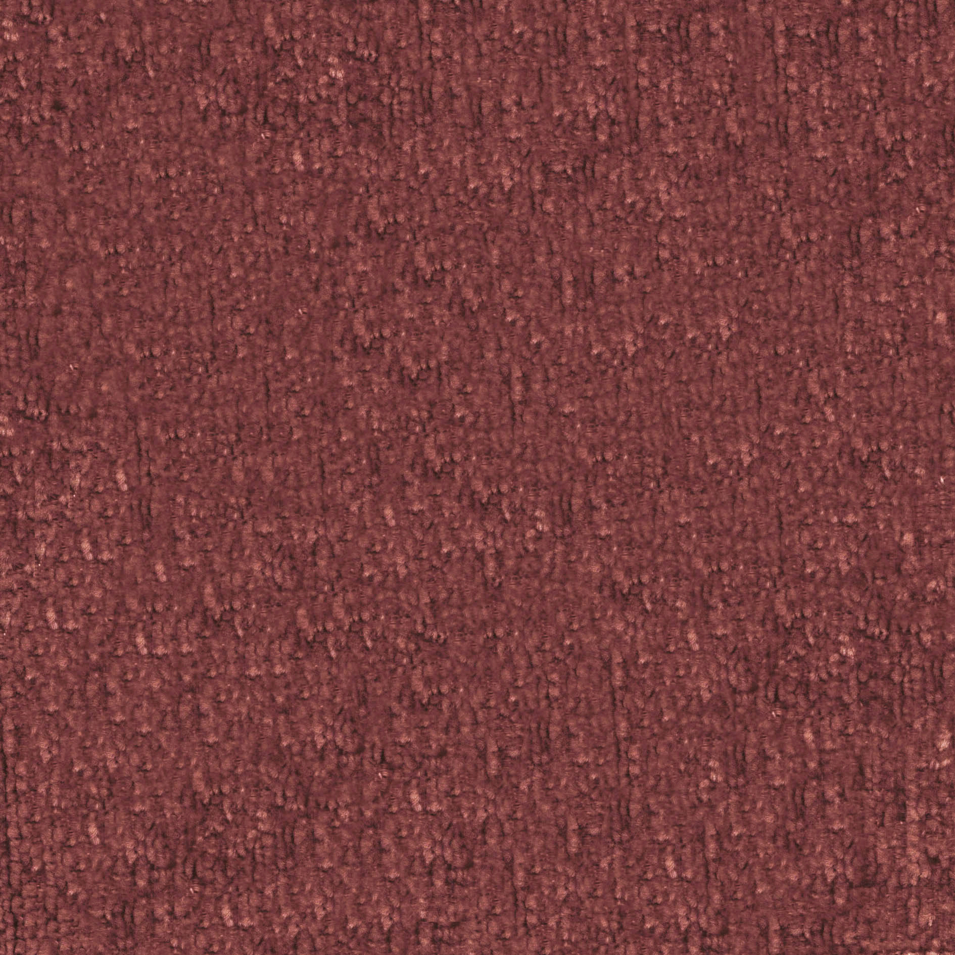 กล้วยไม้