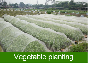 Tốt Nhất Người Bán HDPE Côn Trùng Lưới 6 Năm Bền Nông Nghiệp Chống Côn Trùng <span class=keywords><strong>Net</strong></span> Cho Nhà Kính Tùy Chỉnh Dịch Vụ Cắt - Product Image 2