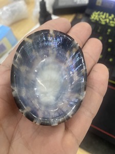 เปลือกหอยพรีเมี่ยม: เปลือกหอย Limpet, Murex Operculum และเปลือกหอยทากในราคาที่ไม่แพง - Product Image 6